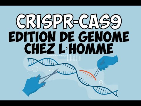 1ère utilisation de l'édition de génome CRISPR-CAS9 chez l'Homme pour traiter une maladie génétique