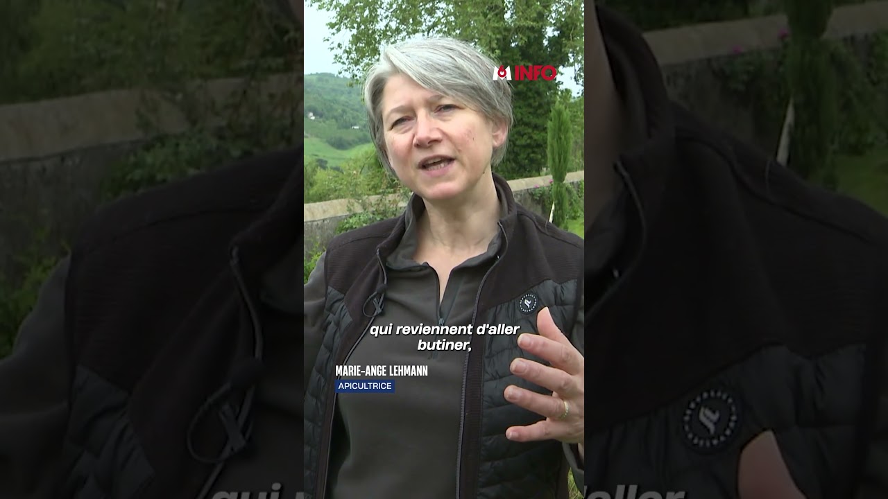 Le printemps est une période stratégique pour les éliminer