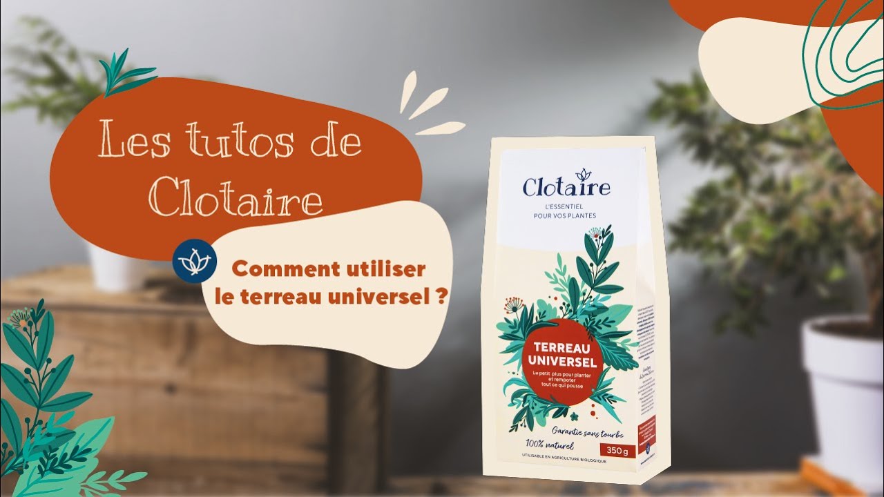 Comment rempoter une plante avec le Terreau Universel Clotaire ?
