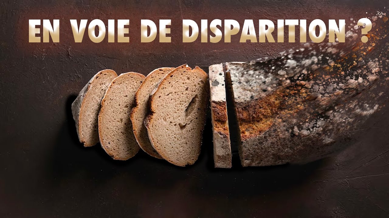 Pourquoi le pain est moins bon en été ?