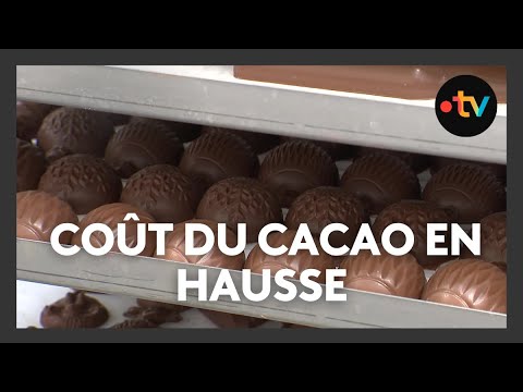 Cacao : pourquoi les prix ont explosé en 2025 ?