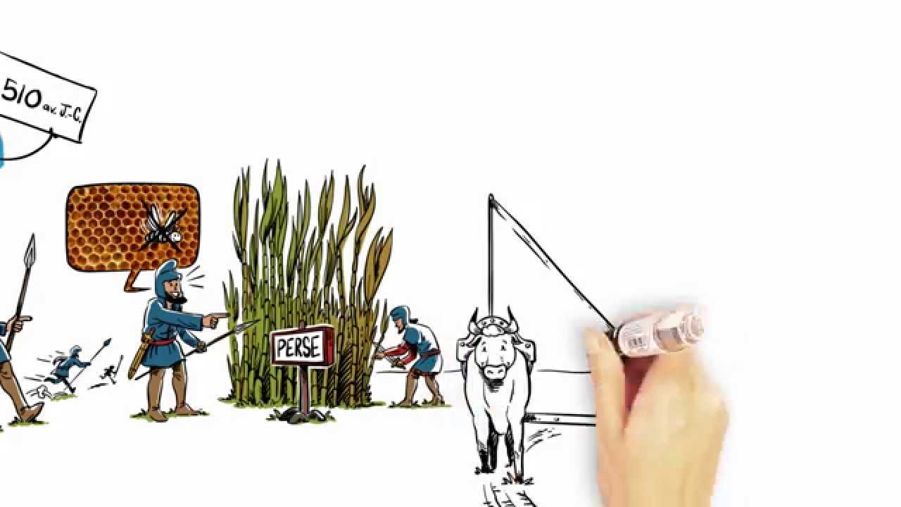 L'Histoire du Sucre