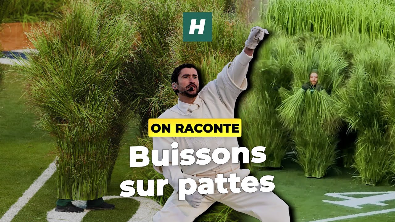 Après le show de Bad Bunny au Super Bowl 2026, tout le monde veut devenir un buisson